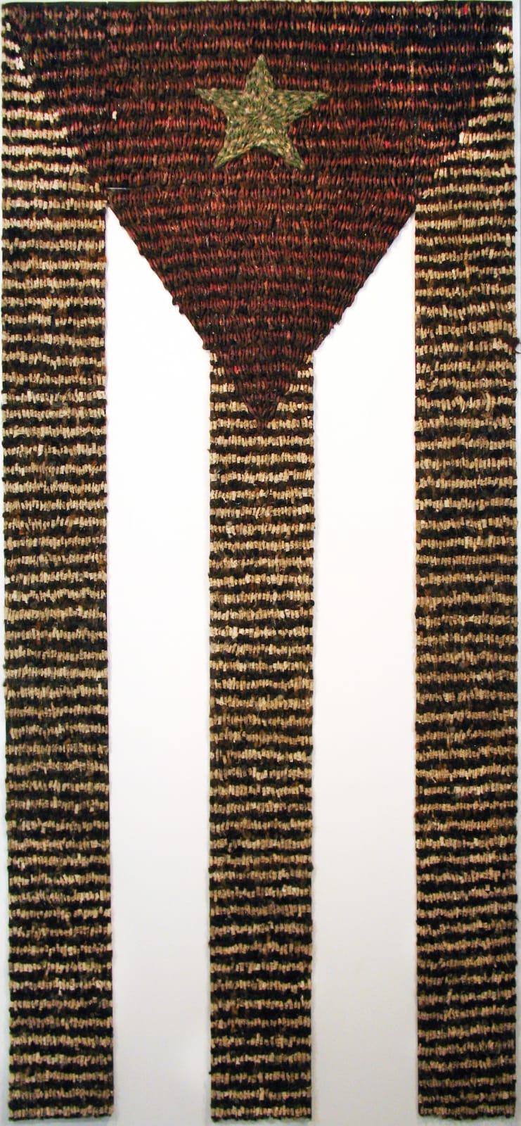 Tania Bruguera, Estadistica (Statistic), 1995-2000
