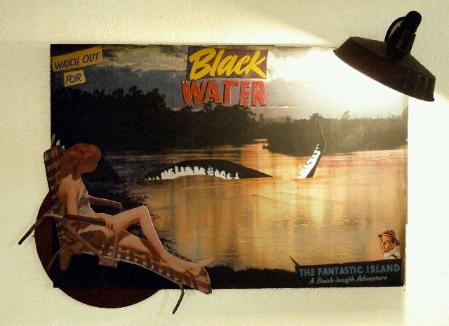 Tracey Snelling, Big Blackwater, 2006