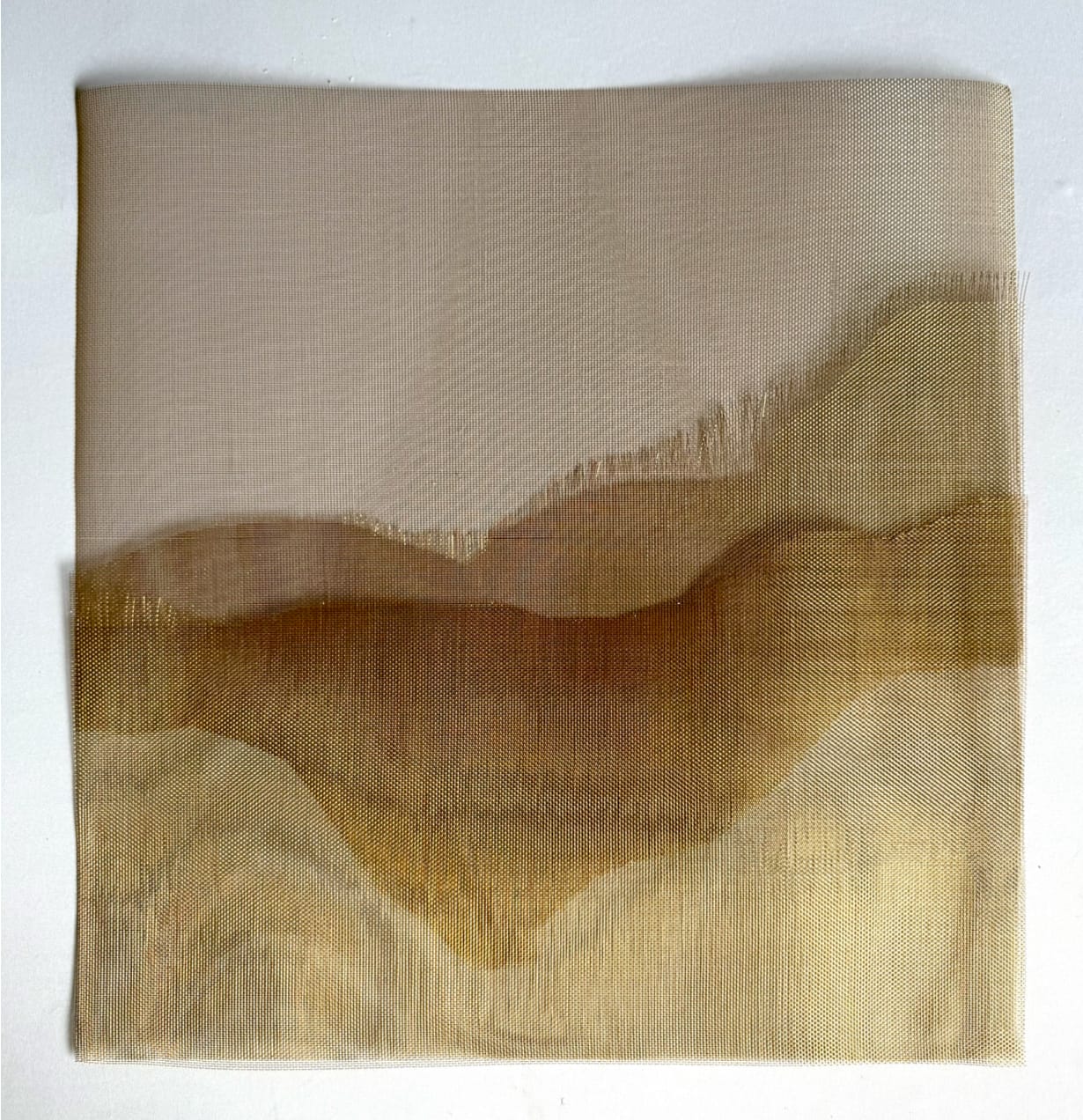 Elizabet Cerviño, Escape, 2025