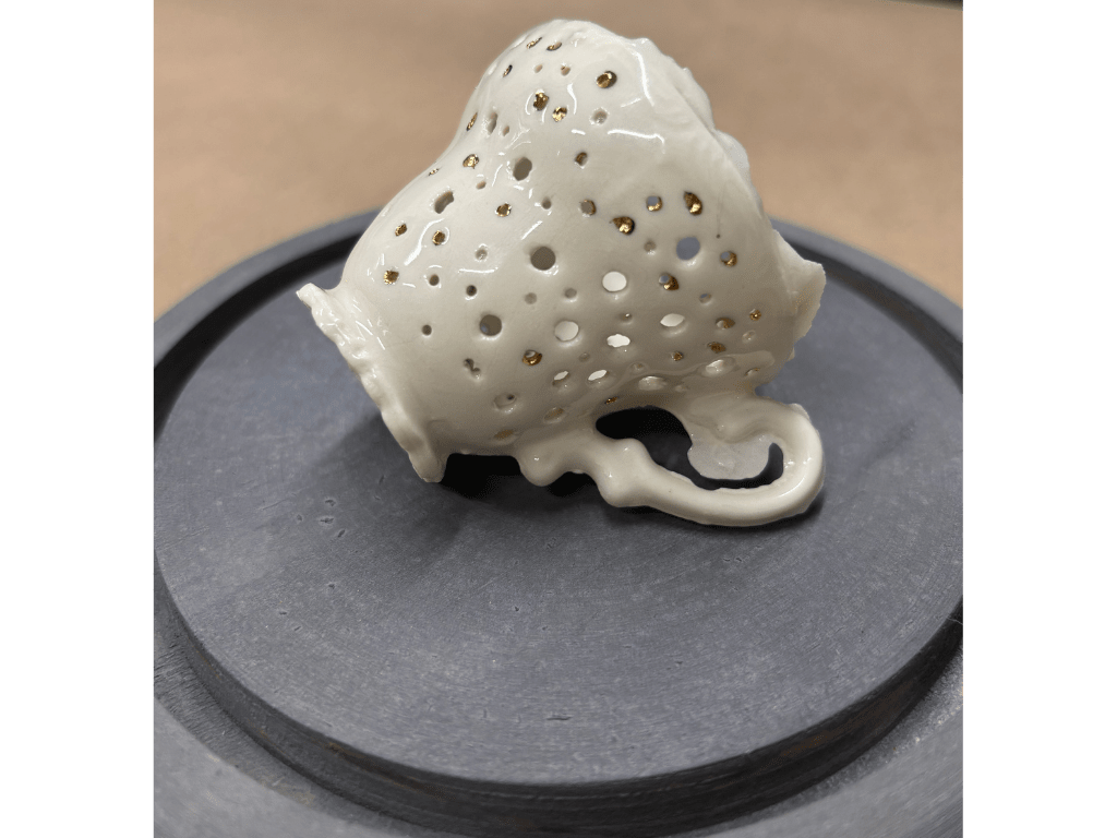 Mariana Tocornal, Quebrada blanca con plato (White crack with a plate), 2020