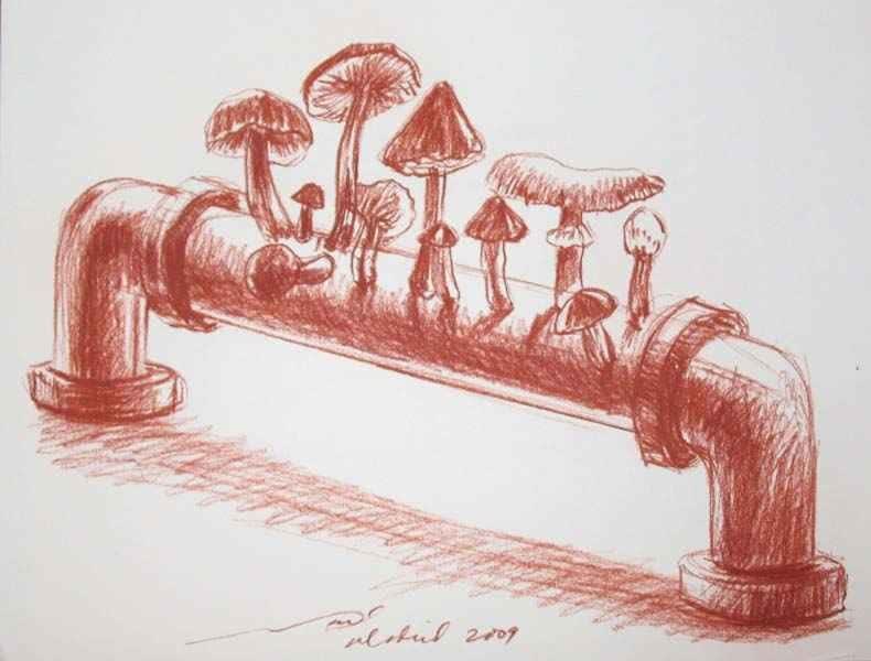Armando Mariño, Untitled, 2009