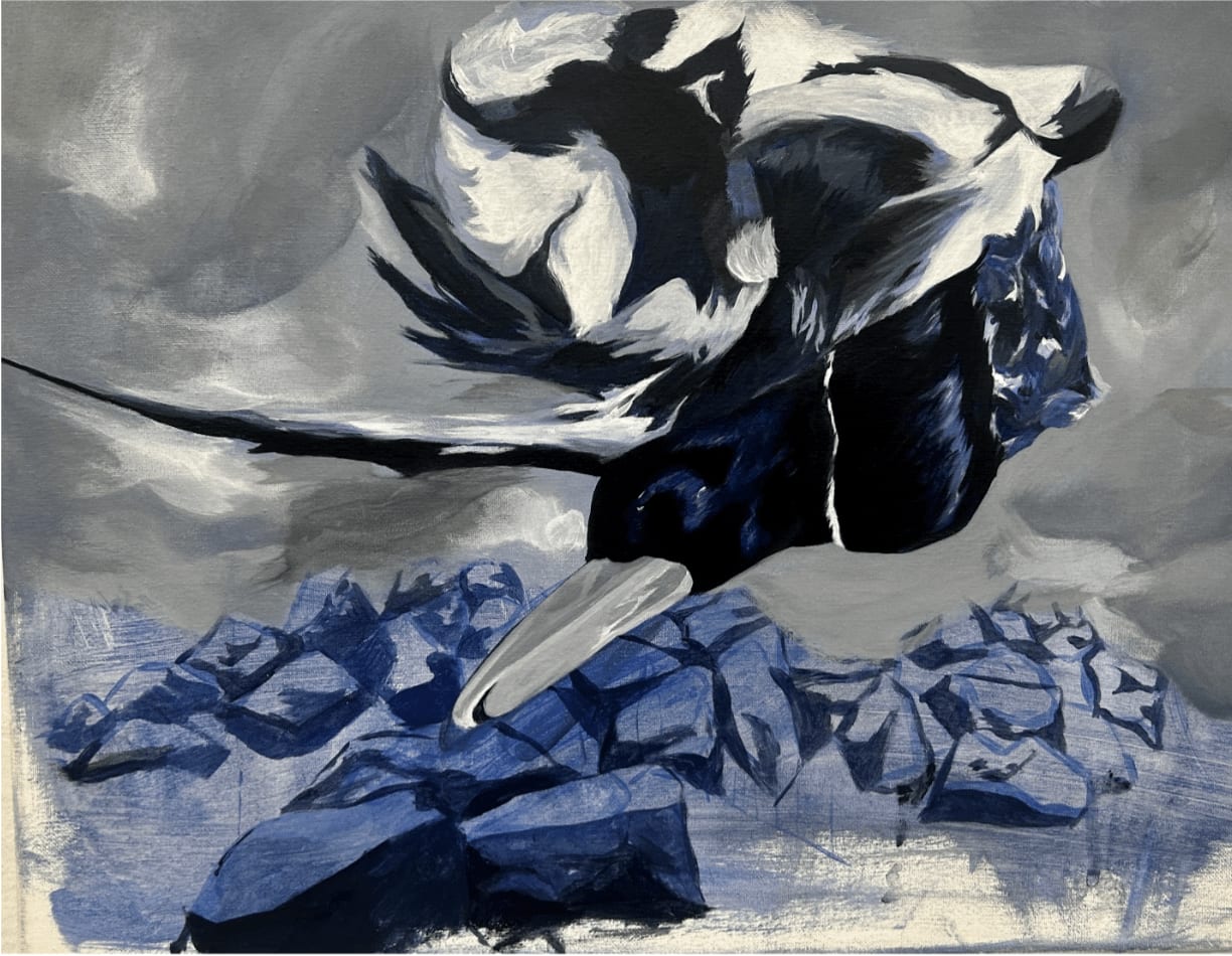 Paulina Rodriguez, Dead Duck Over Rocks, 2023
