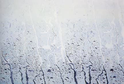 Heide Fasnacht, Rain on Window I
