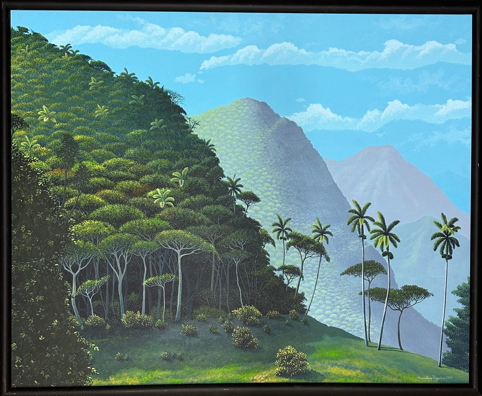 Marcelino Vizcaino, Elevaciones Boscosas, 2000
