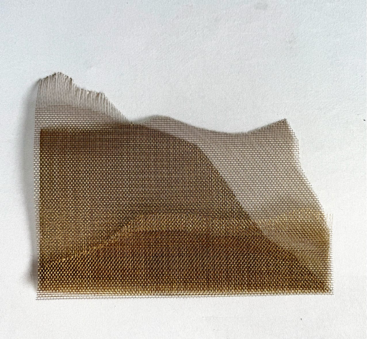 Elizabet Cerviño, Escape, 2025