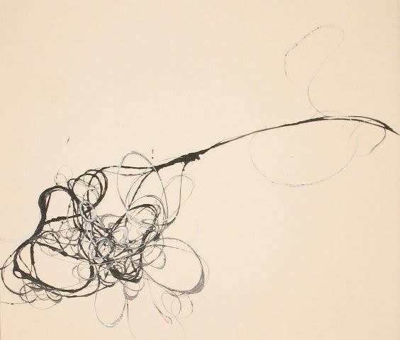 Andrea Cote, Untitled, from Wisps Series, 2009