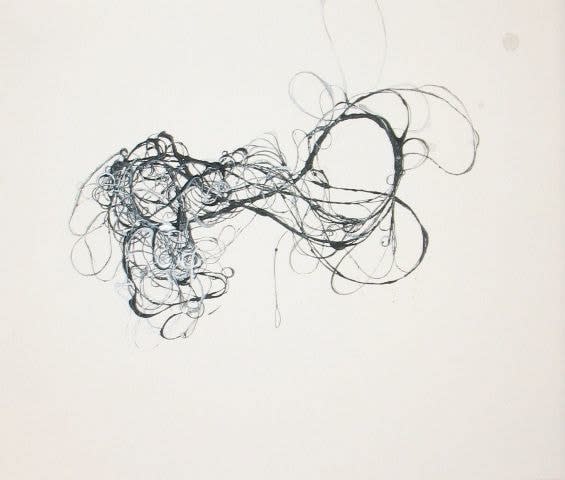 Andrea Cote, Untitled, from Wisps Series, 2009