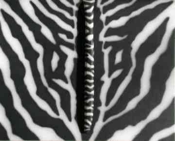 Jose Franco, Untitled