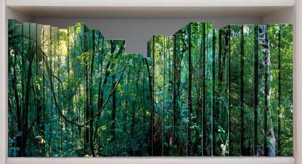 Claudia Jaguaribe, Biblioteca II, 2008