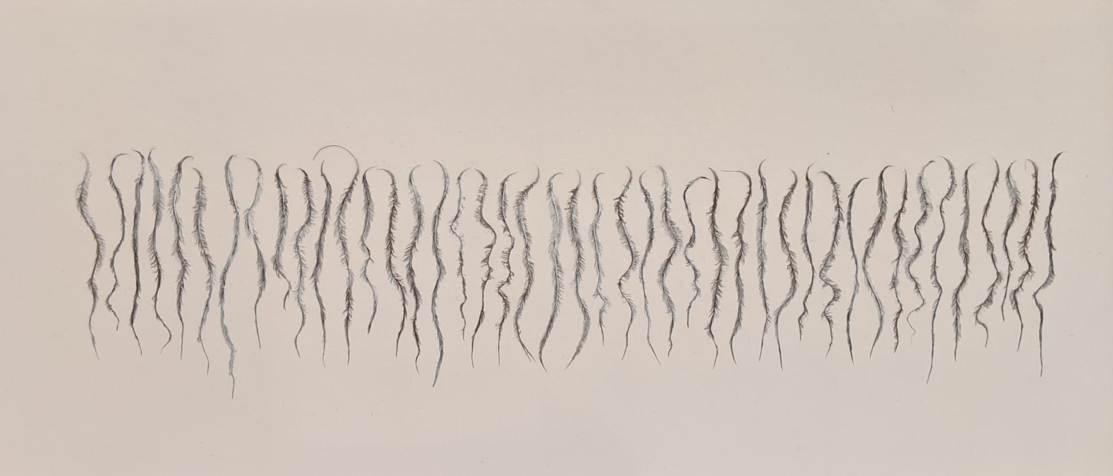 Susie MacMurray, Hearsay II, 2019