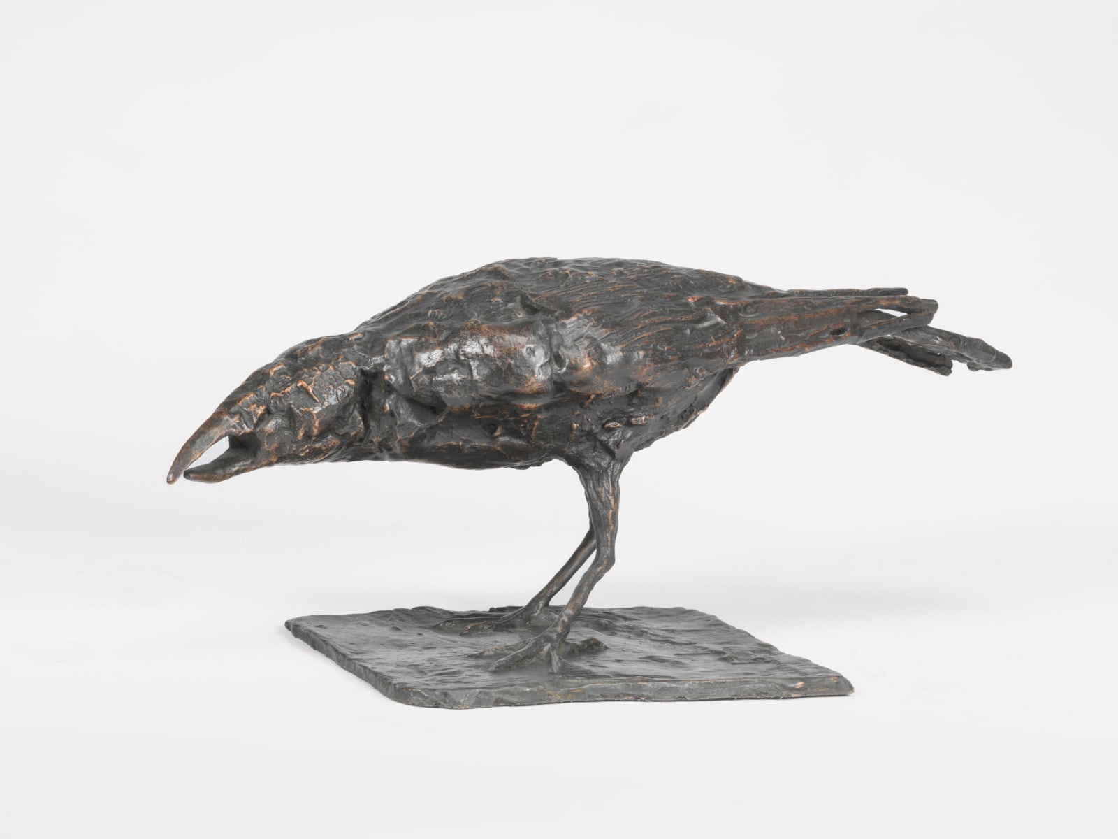 Charlotte Mayer, Crow II, c.1976