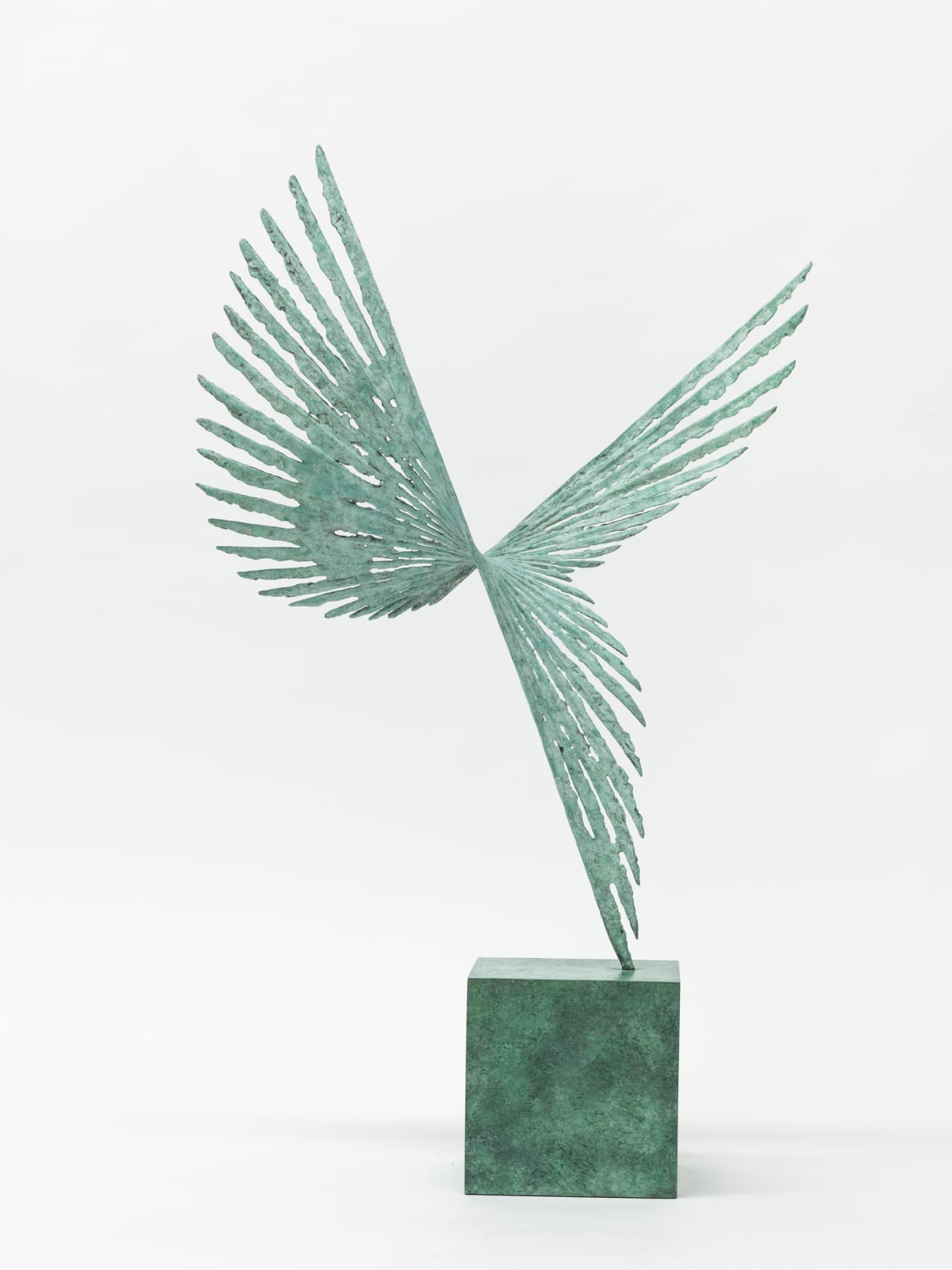 Charlotte Mayer, Solar II, 2020