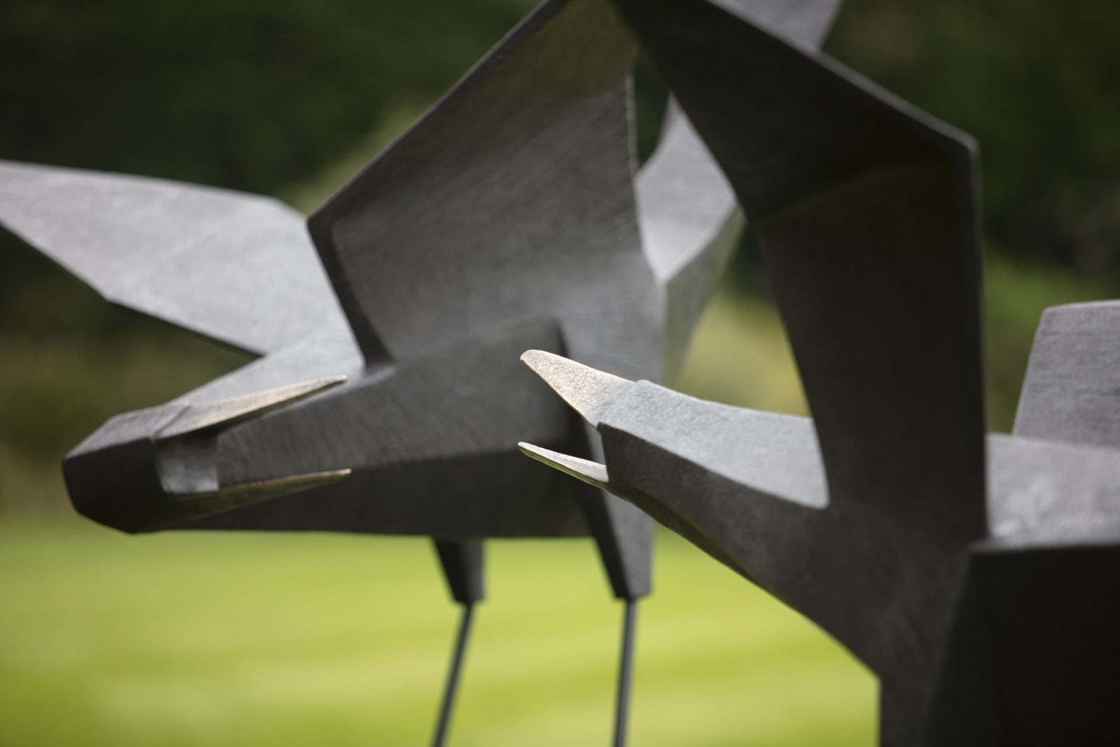 Terence Coventry, Bird II, 2010