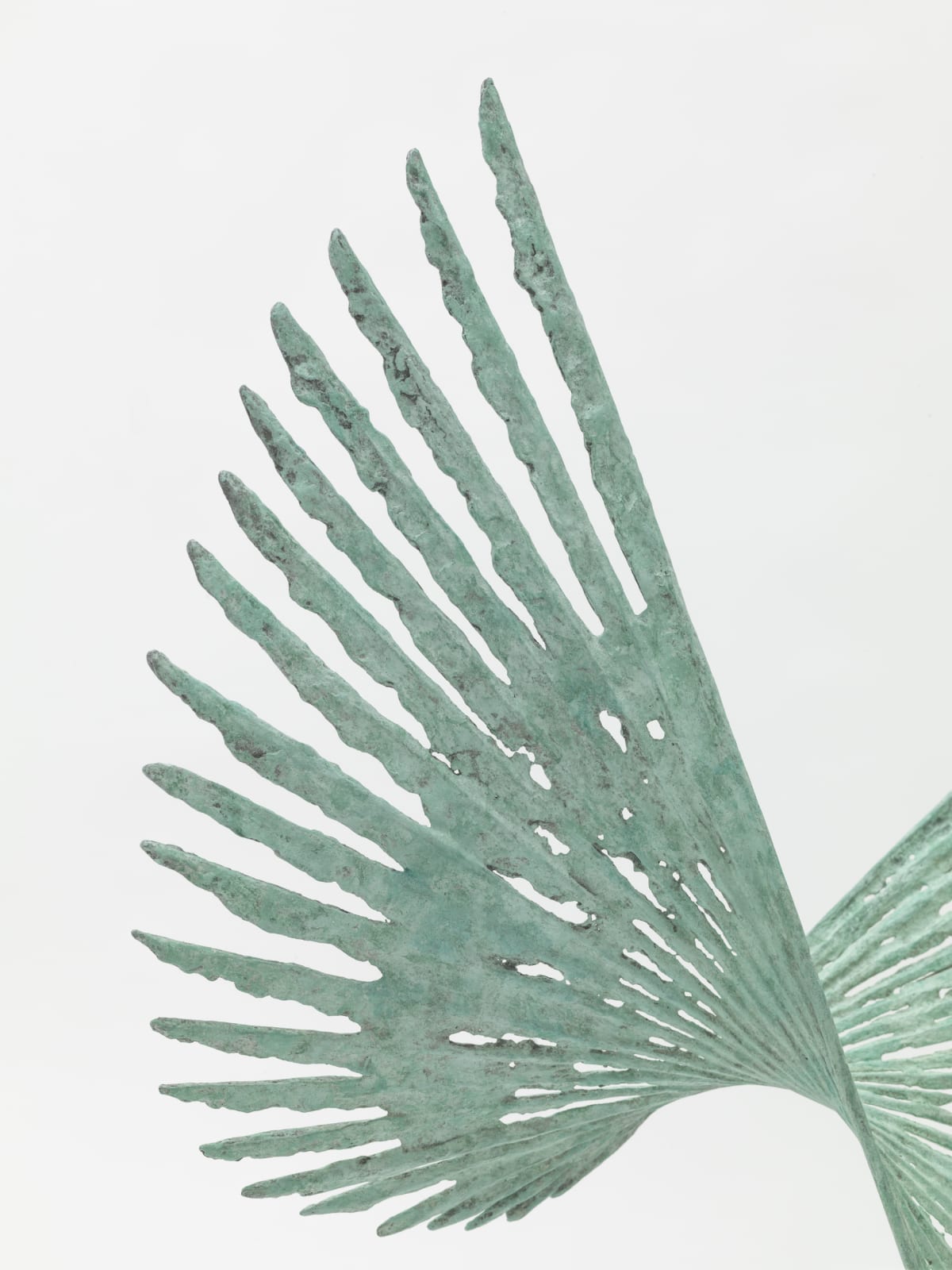 Charlotte Mayer, Solar II, 2020