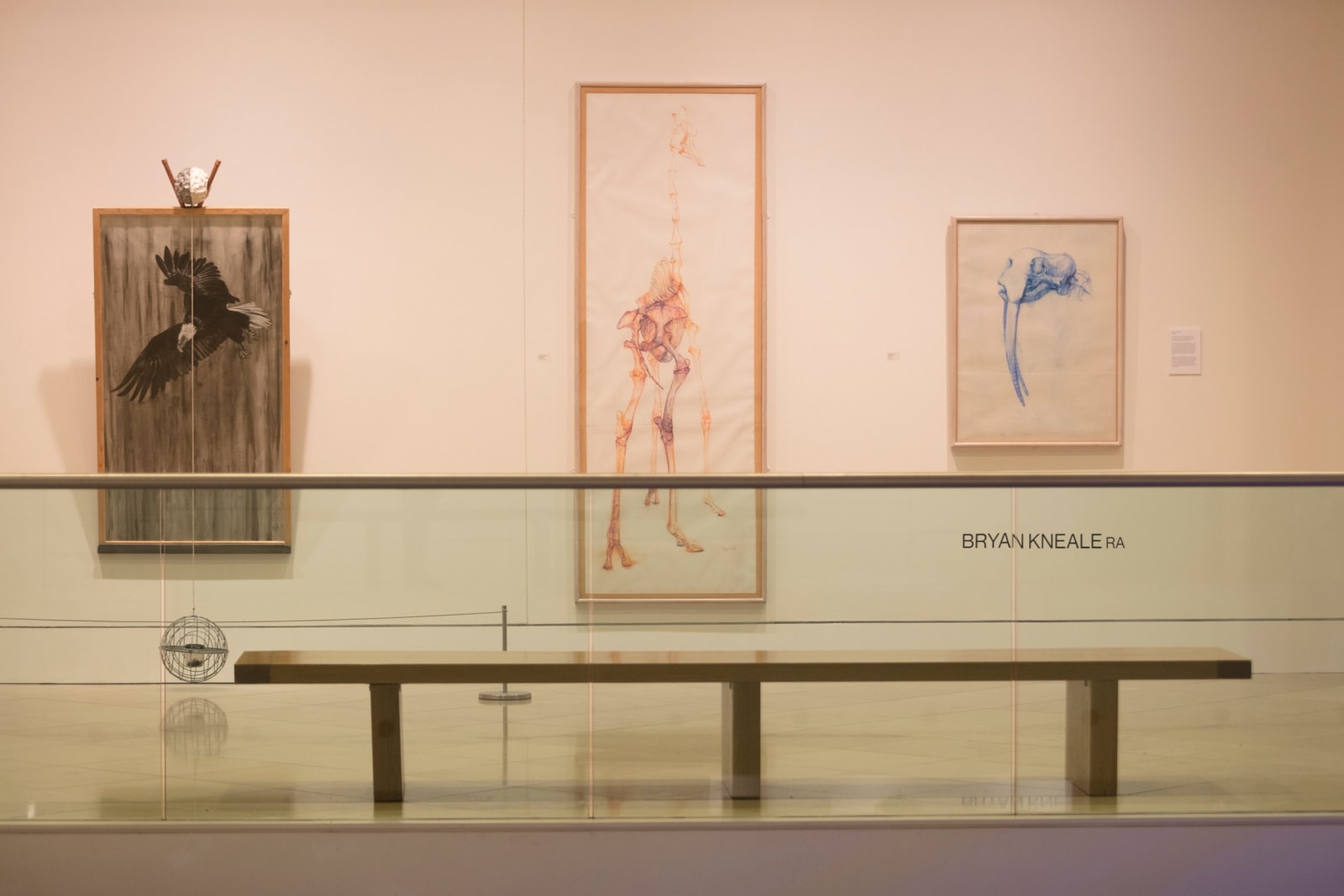 Bryan Kneale RA, Giraffe, c.1987