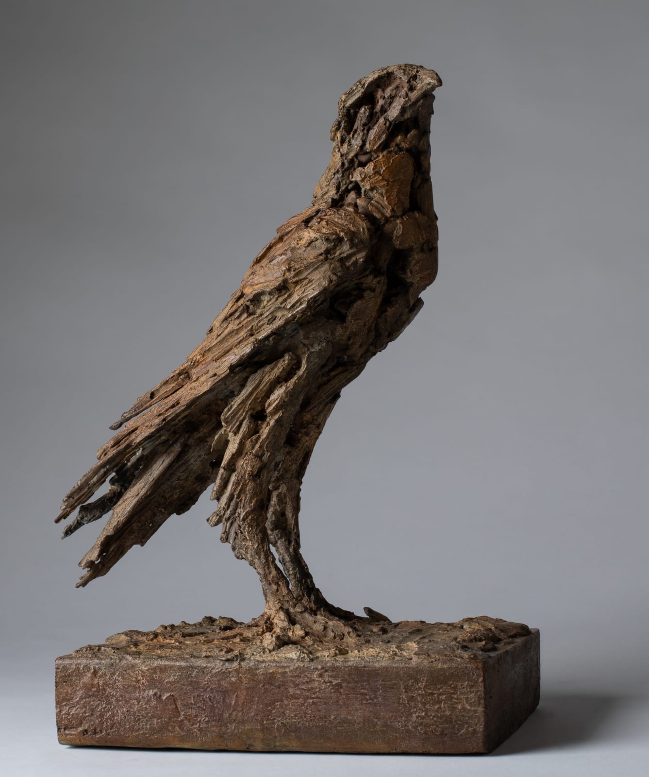 Joseph Paxton, Hafoc, 2021