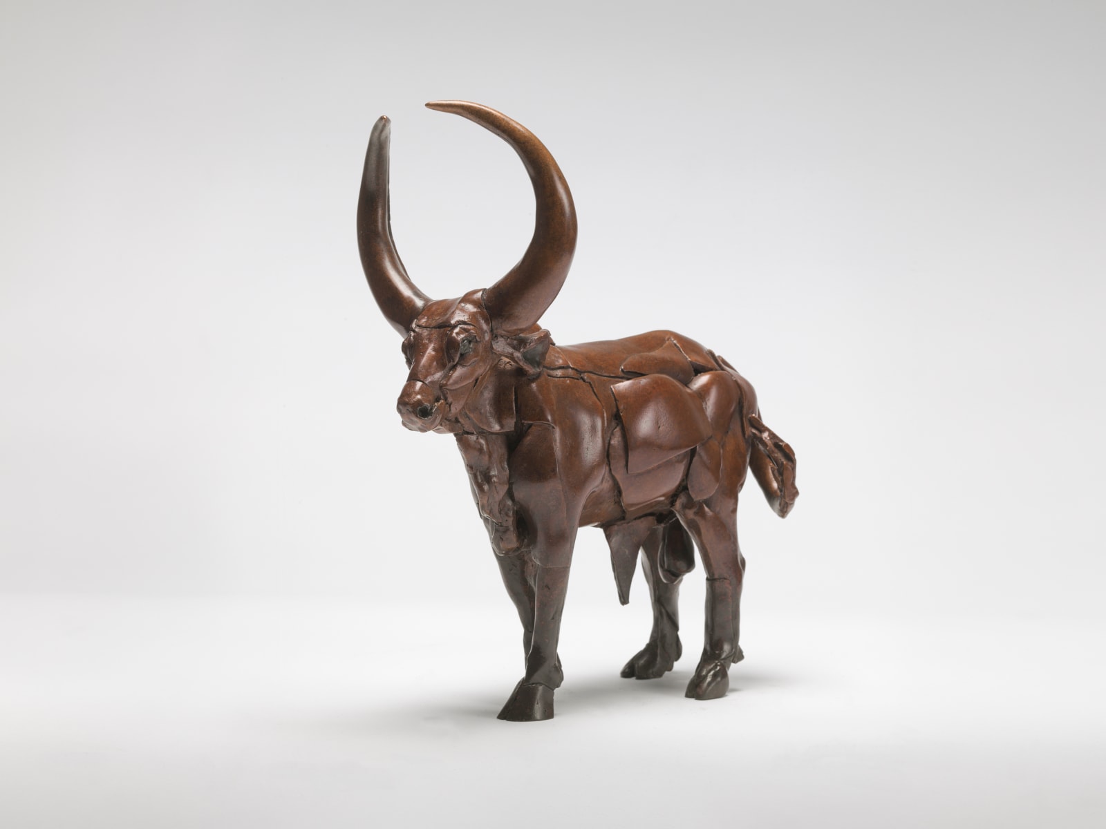 Isaac Okwir, Ankole Bull, 2024