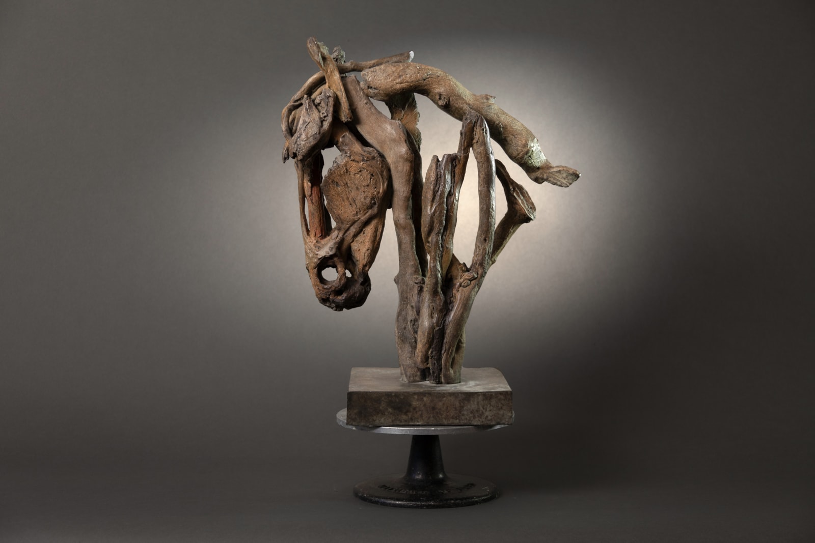 Heather Jansch, Sentinel, 2016