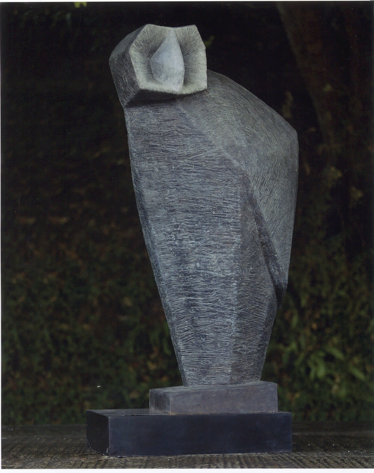 Terence Coventry, Owl II, 2008