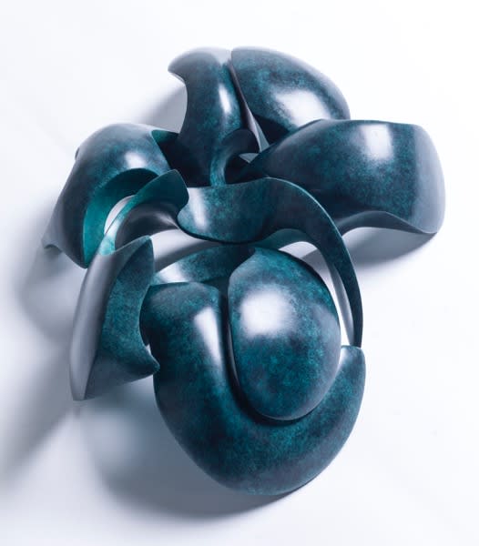 Steve Dilworth, Multiple Carapace in Five Pieces, 2019