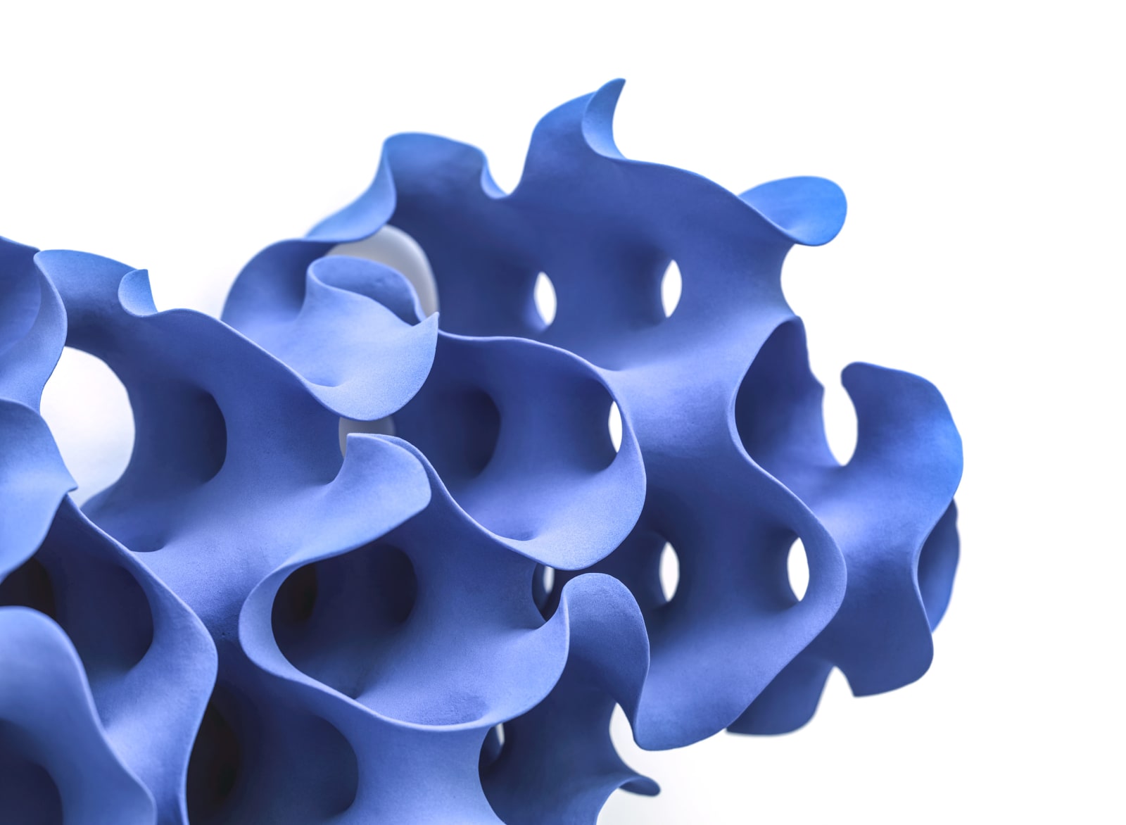 Merete Rasmussen, Morphogenesis, 2015
