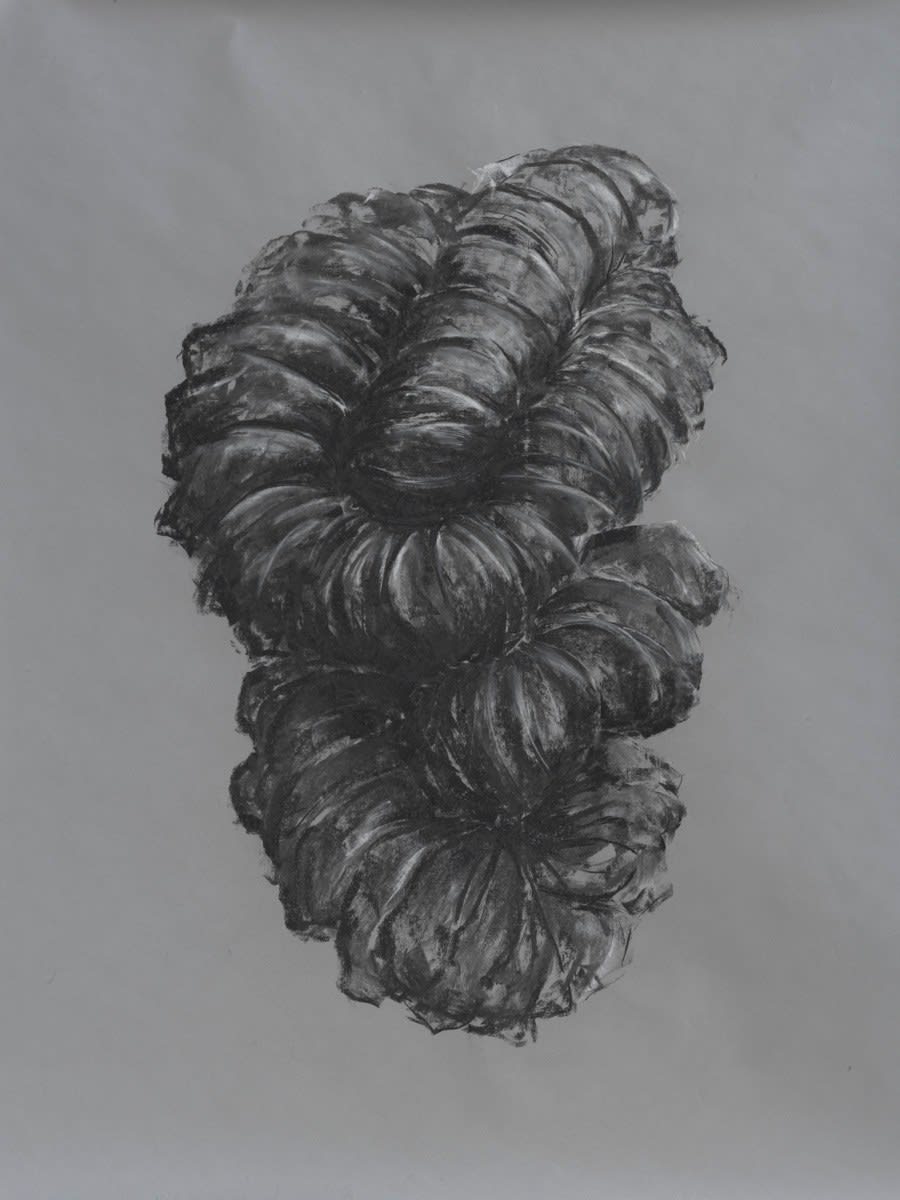 Susie MacMurray, Study for Entwine II, 2024