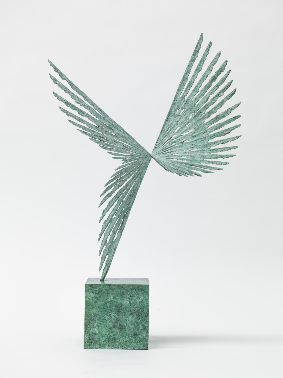 Charlotte Mayer, Solar II, 2020
