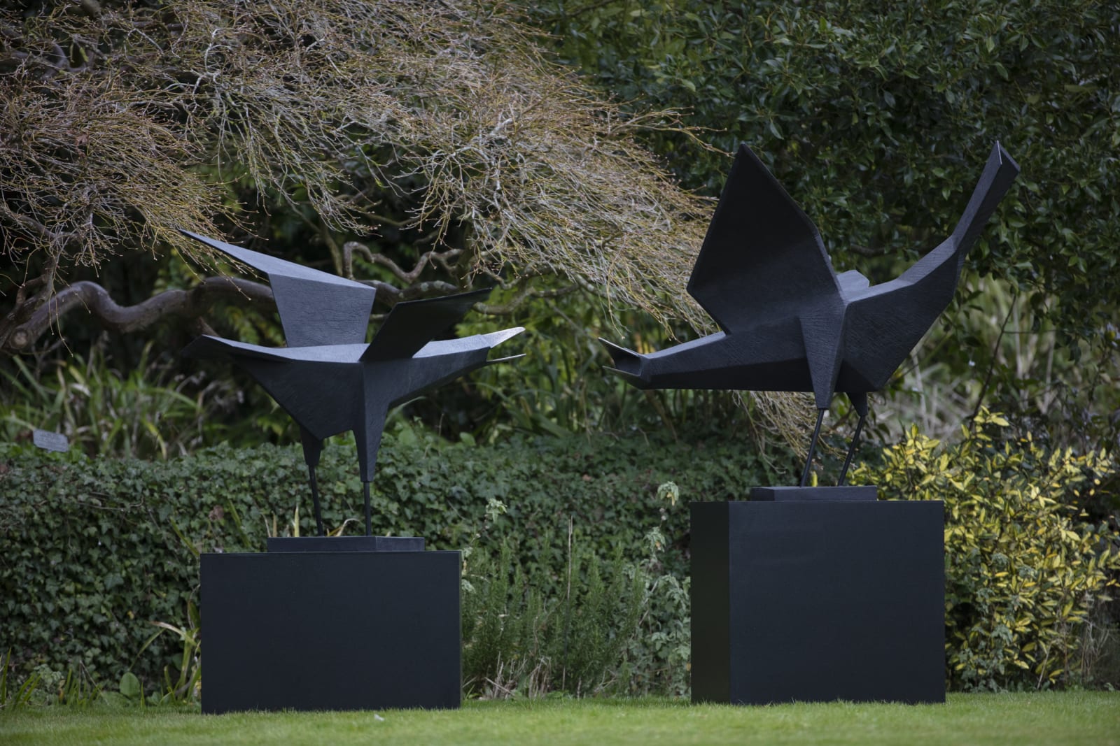 Terence Coventry, Bird I, 2010