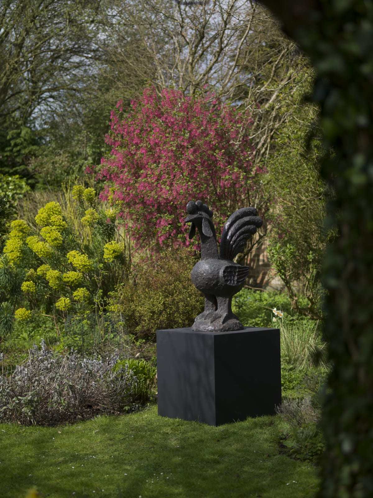 Breon O'Casey, Large Cockerel, 2009