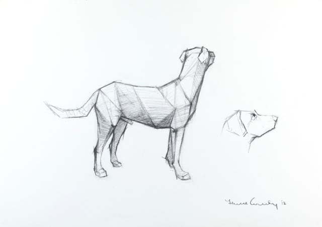 Terence Coventry, Dog II, 2011