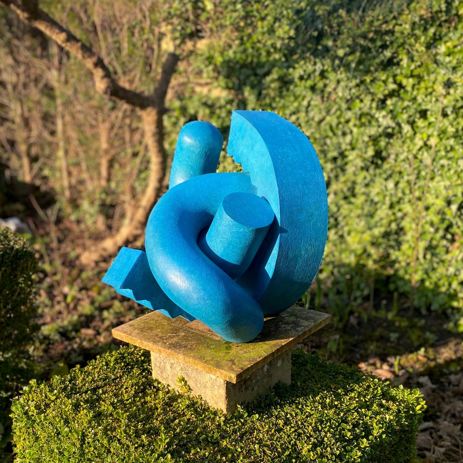 Patricia Volk, Cog, 2020