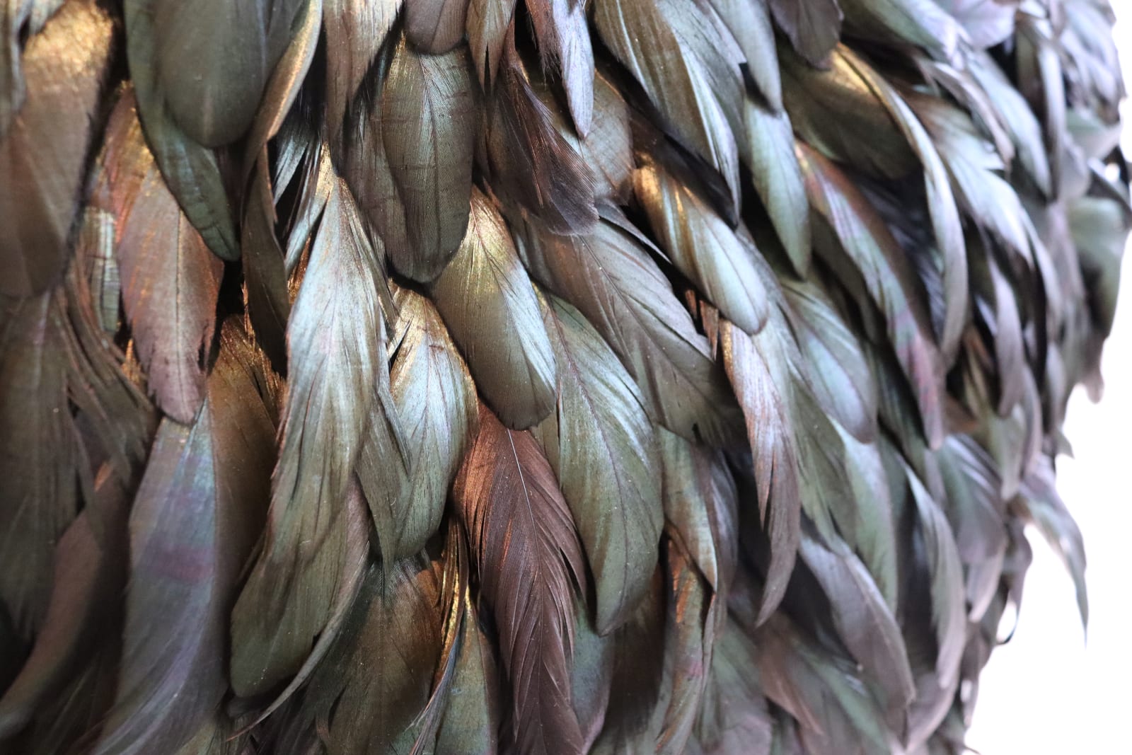 Susie MacMurray, After Flock, 2011