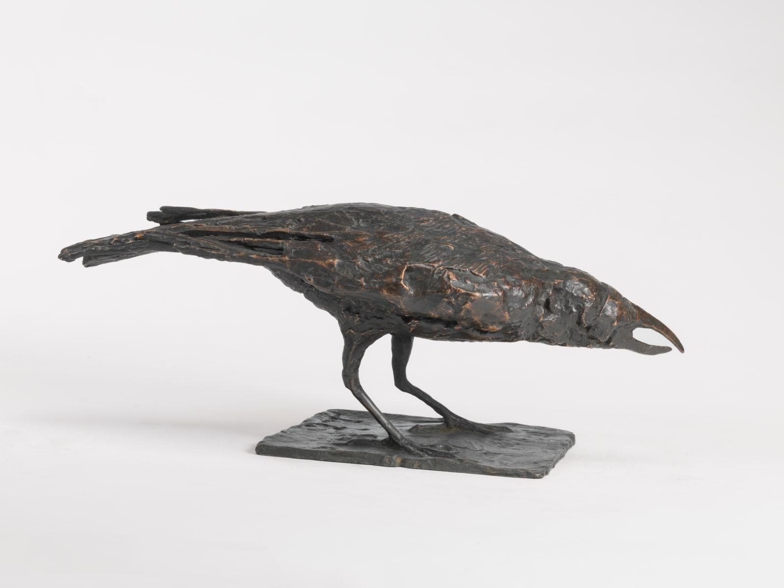 Charlotte Mayer, Crow II, c.1976