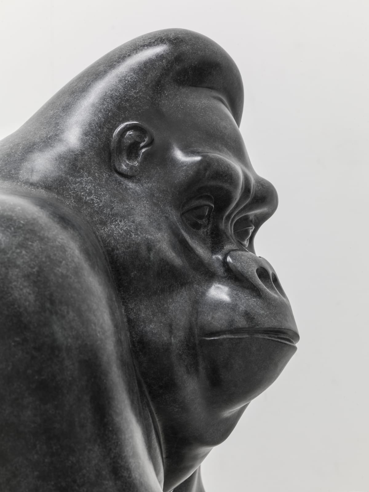 Michael Cooper, Large Gorilla