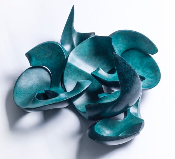 Steve Dilworth, Multiple Carapace in Five Pieces, 2019