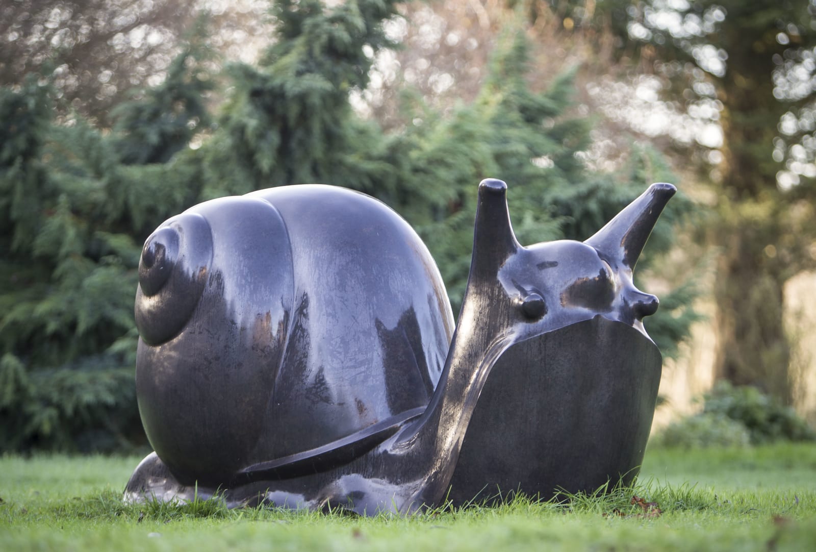 Michael Cooper, Large Snail, 2010