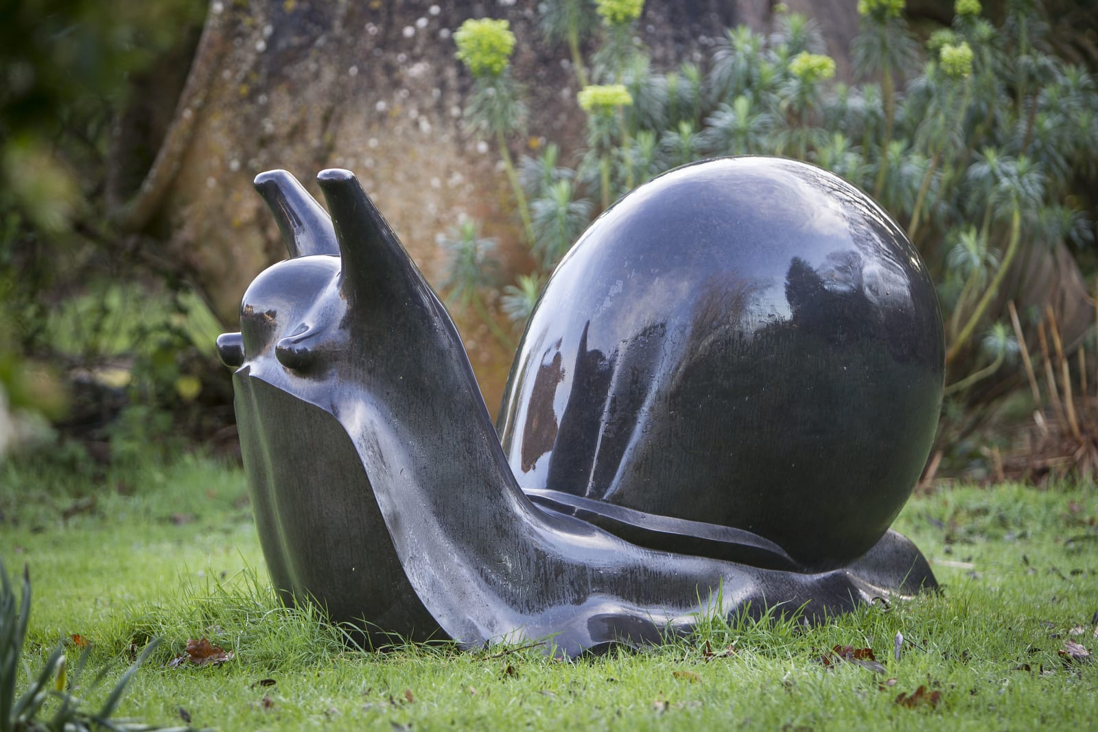 Michael Cooper, Large Snail, 2010