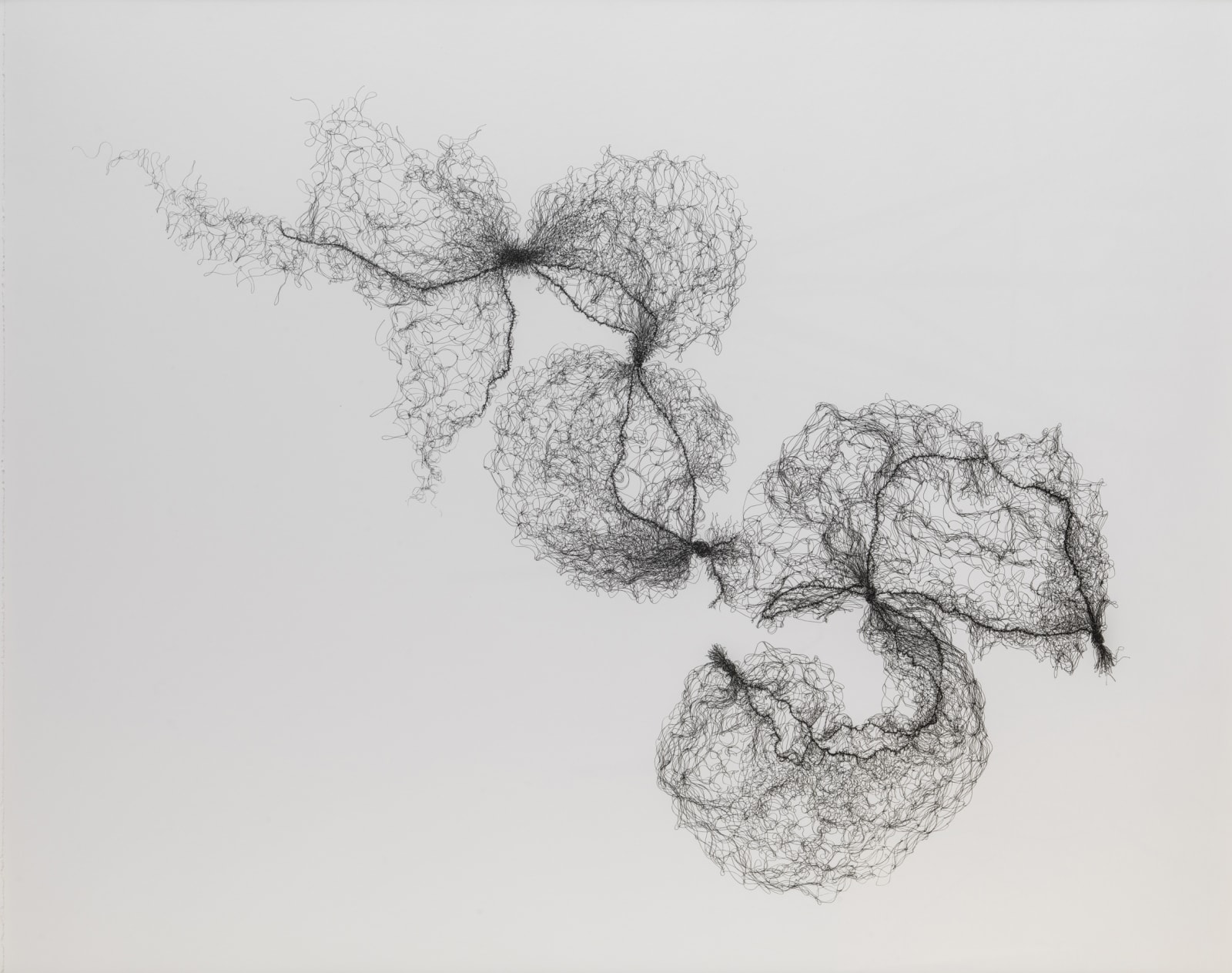 Susie MacMurray, Tied Hairnets No. 2, 2014