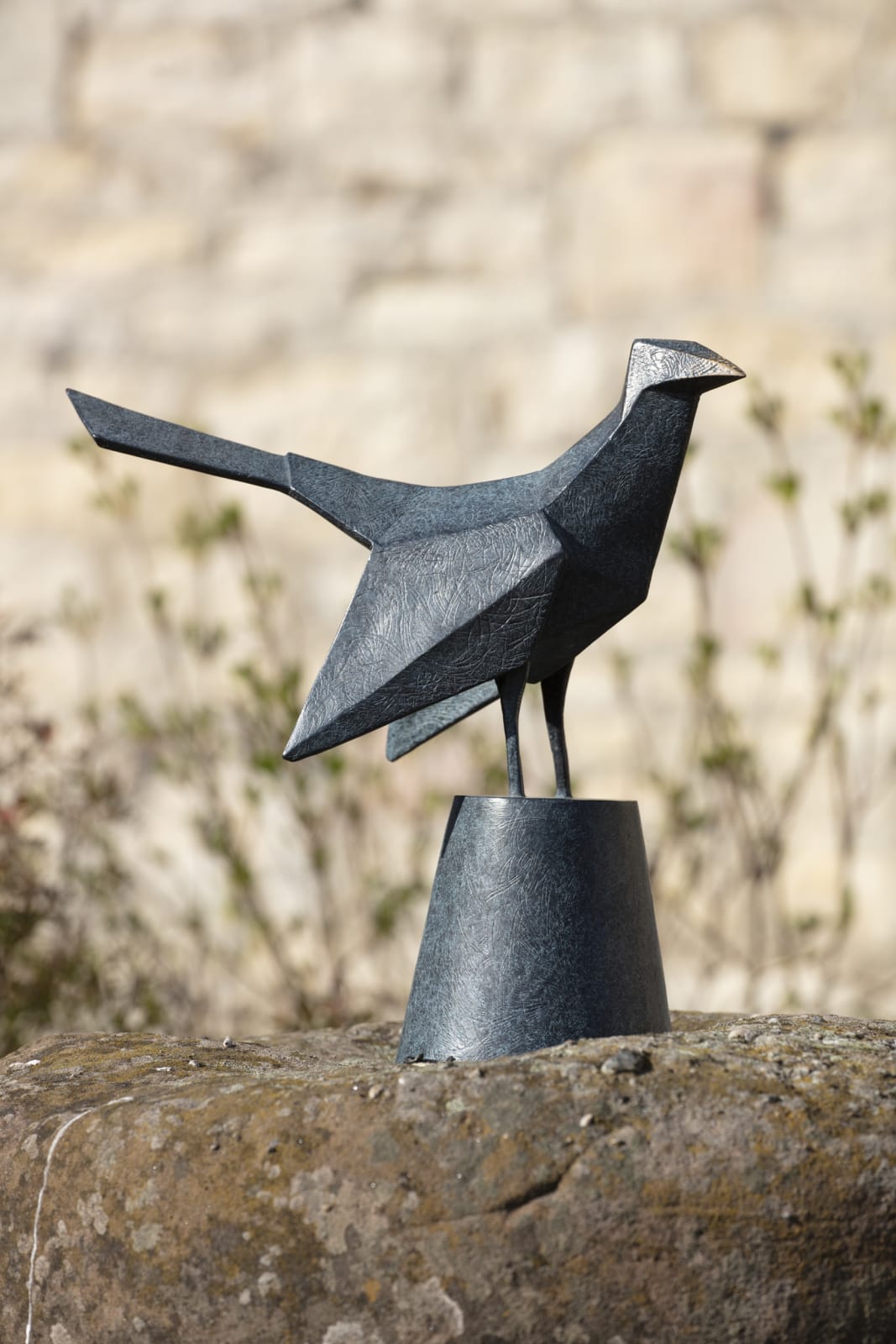 Terence Coventry, Cuckoo, 2013
