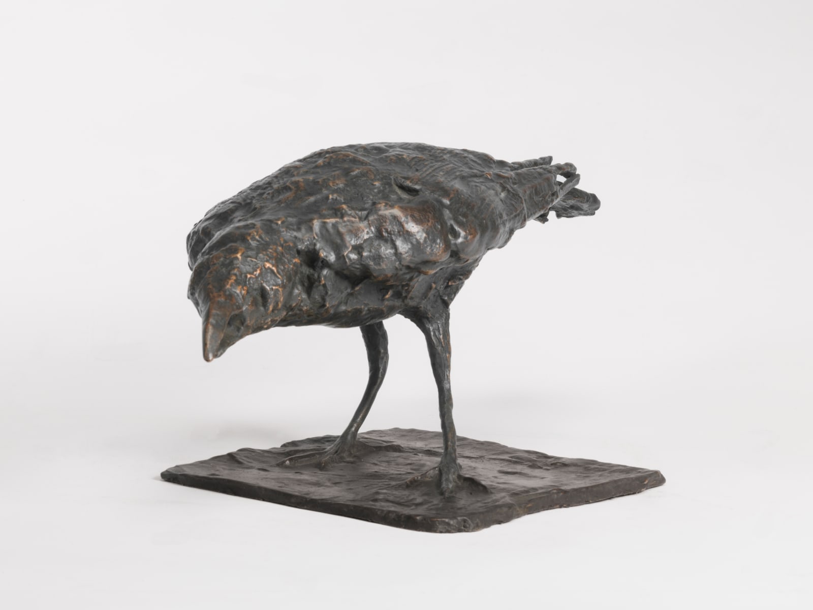 Charlotte Mayer, Crow II, c.1976