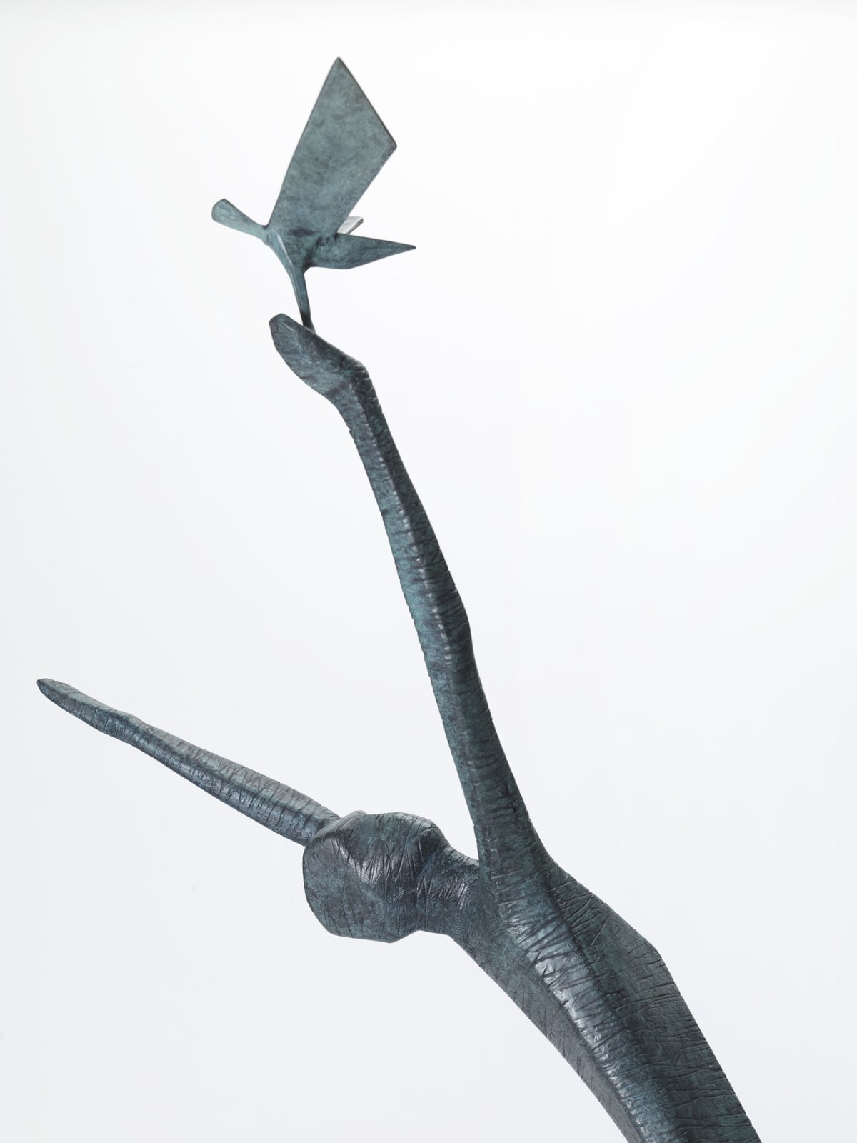 Terence Coventry, Man Releasing Bird II, 2014