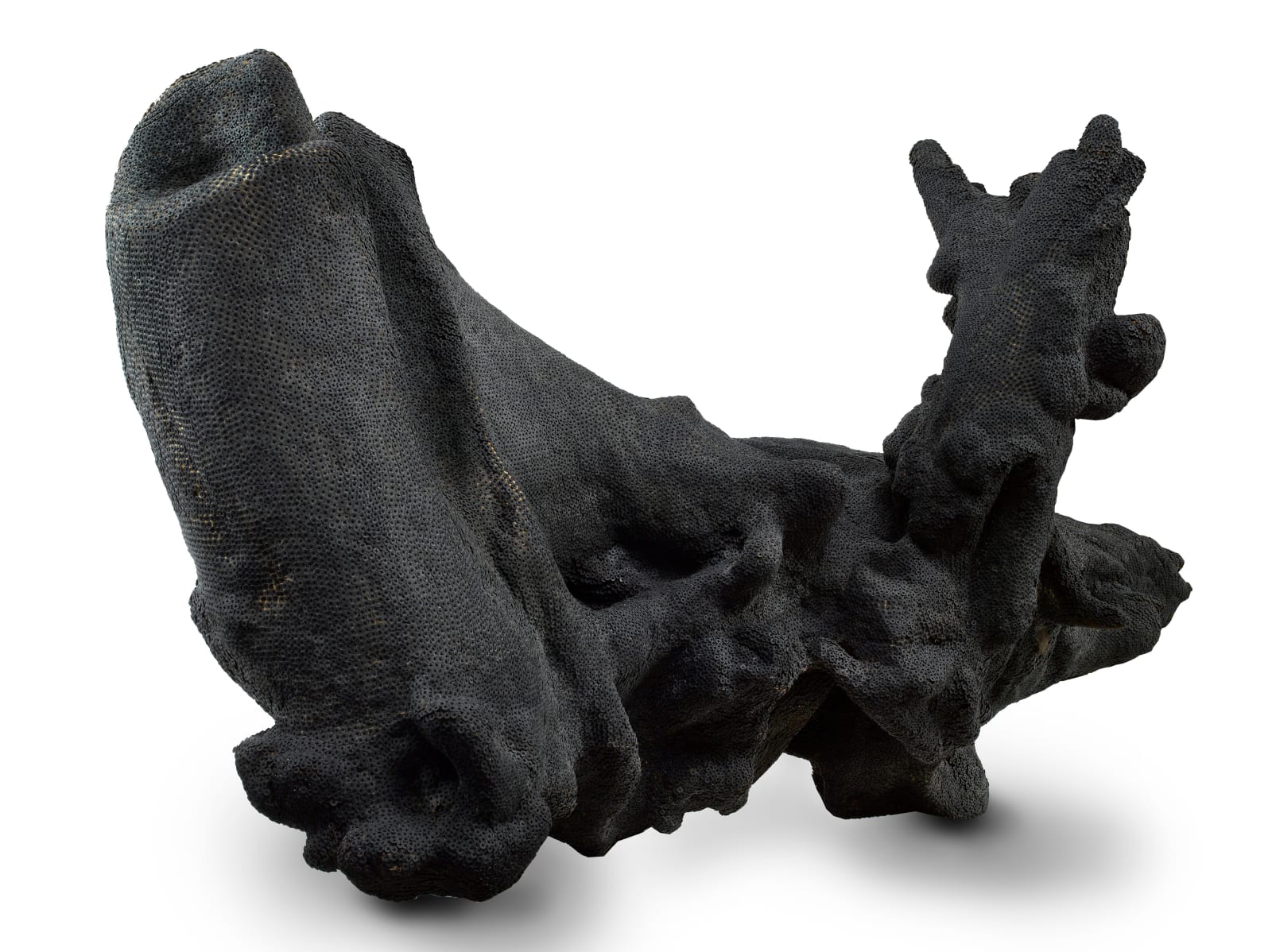 David Mach RA, Dark Matter, 2016