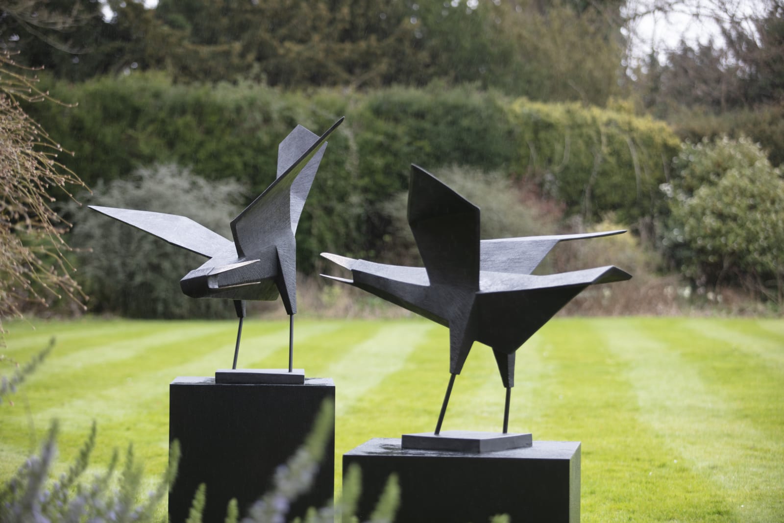 Terence Coventry, Bird I, 2010