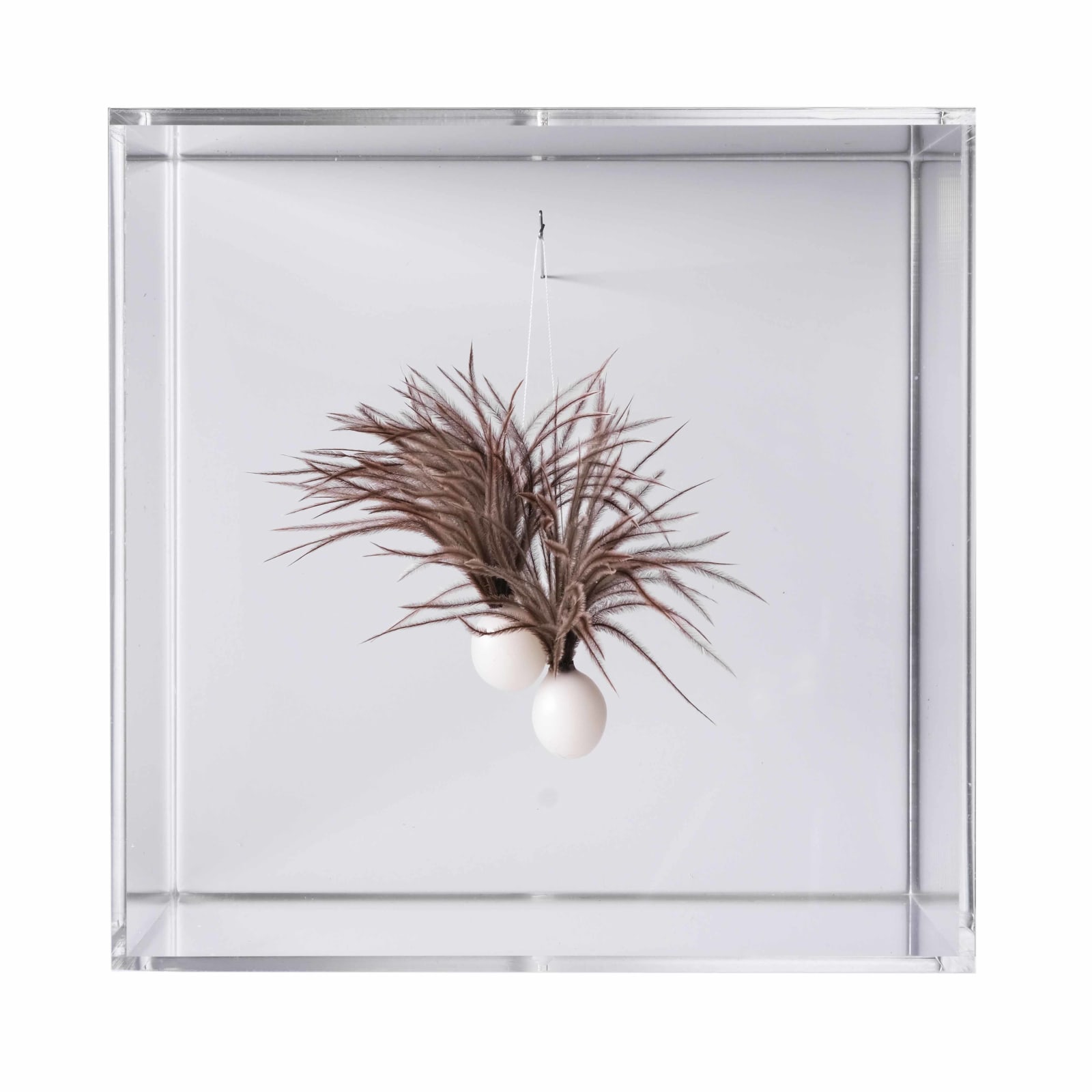 Susie MacMurray, Duo (Wall piece), 2020