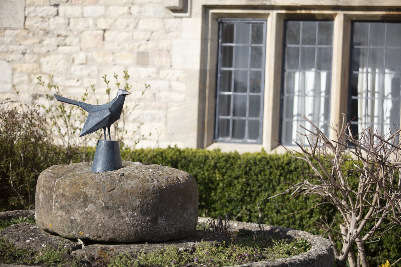 Terence Coventry, Cuckoo, 2013