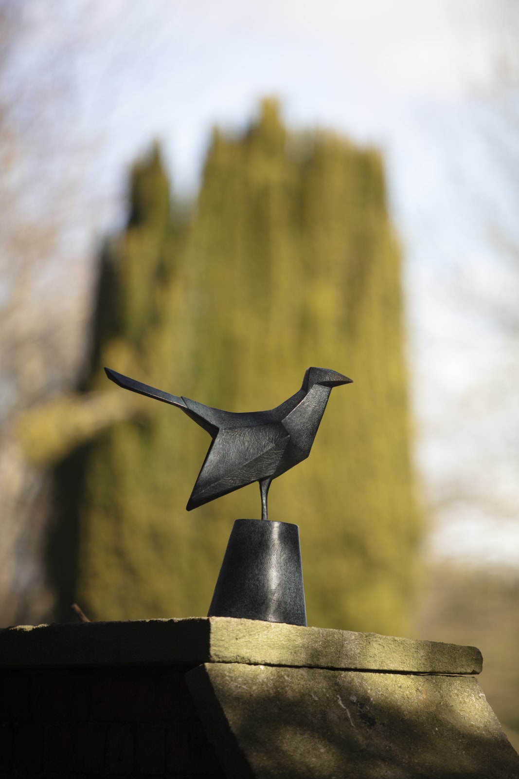 Terence Coventry, Cuckoo, 2013