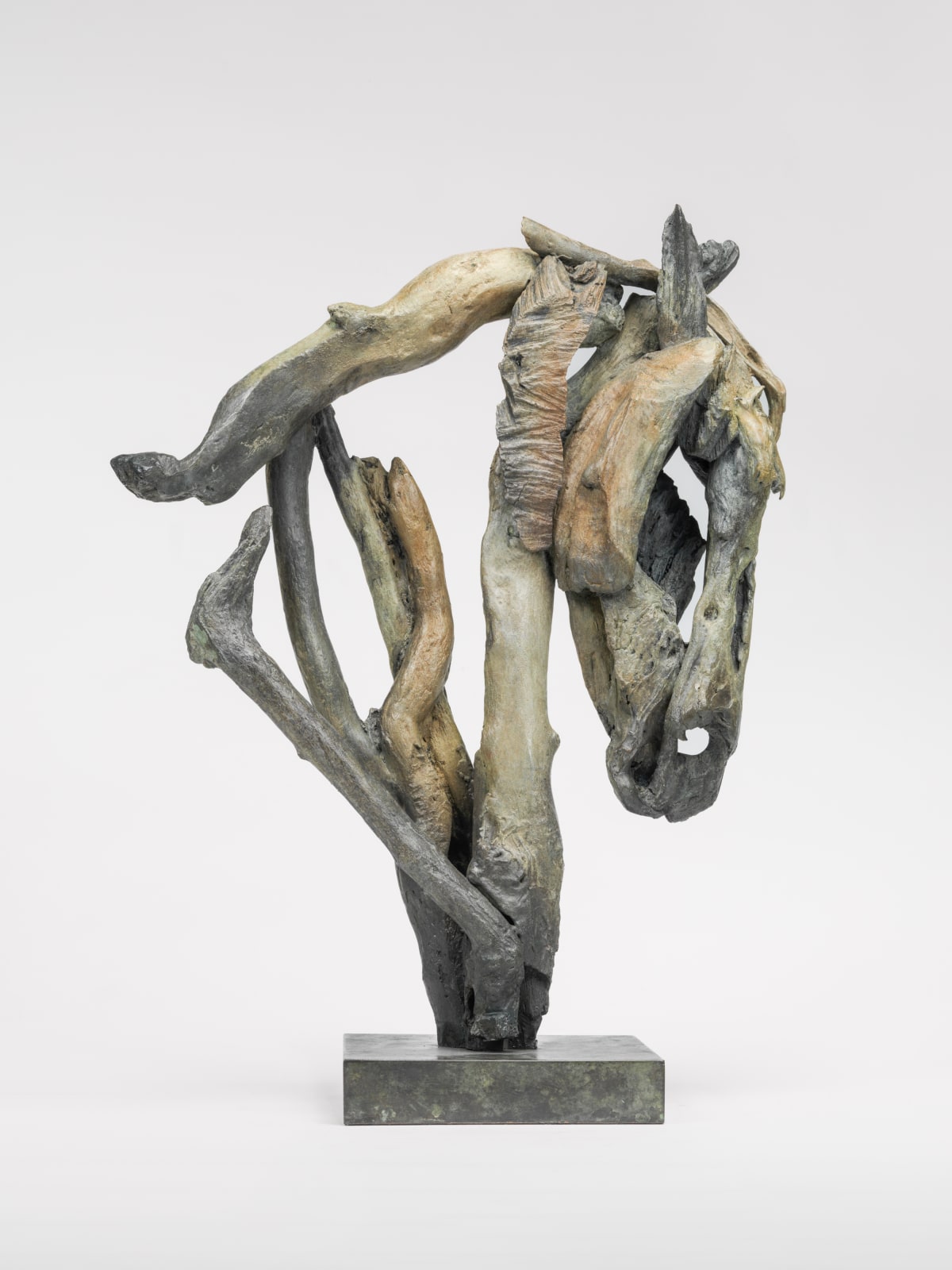 Heather Jansch, Sentinel, 2016