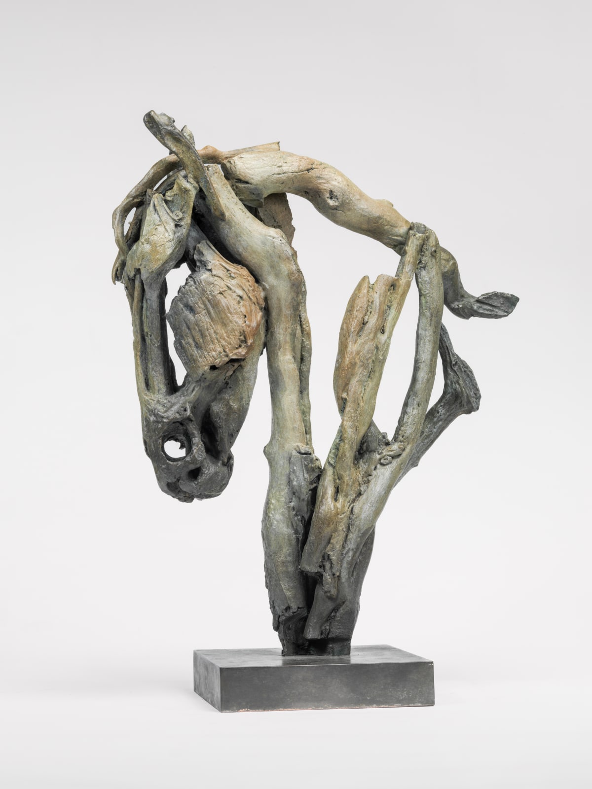 Heather Jansch, Sentinel, 2016