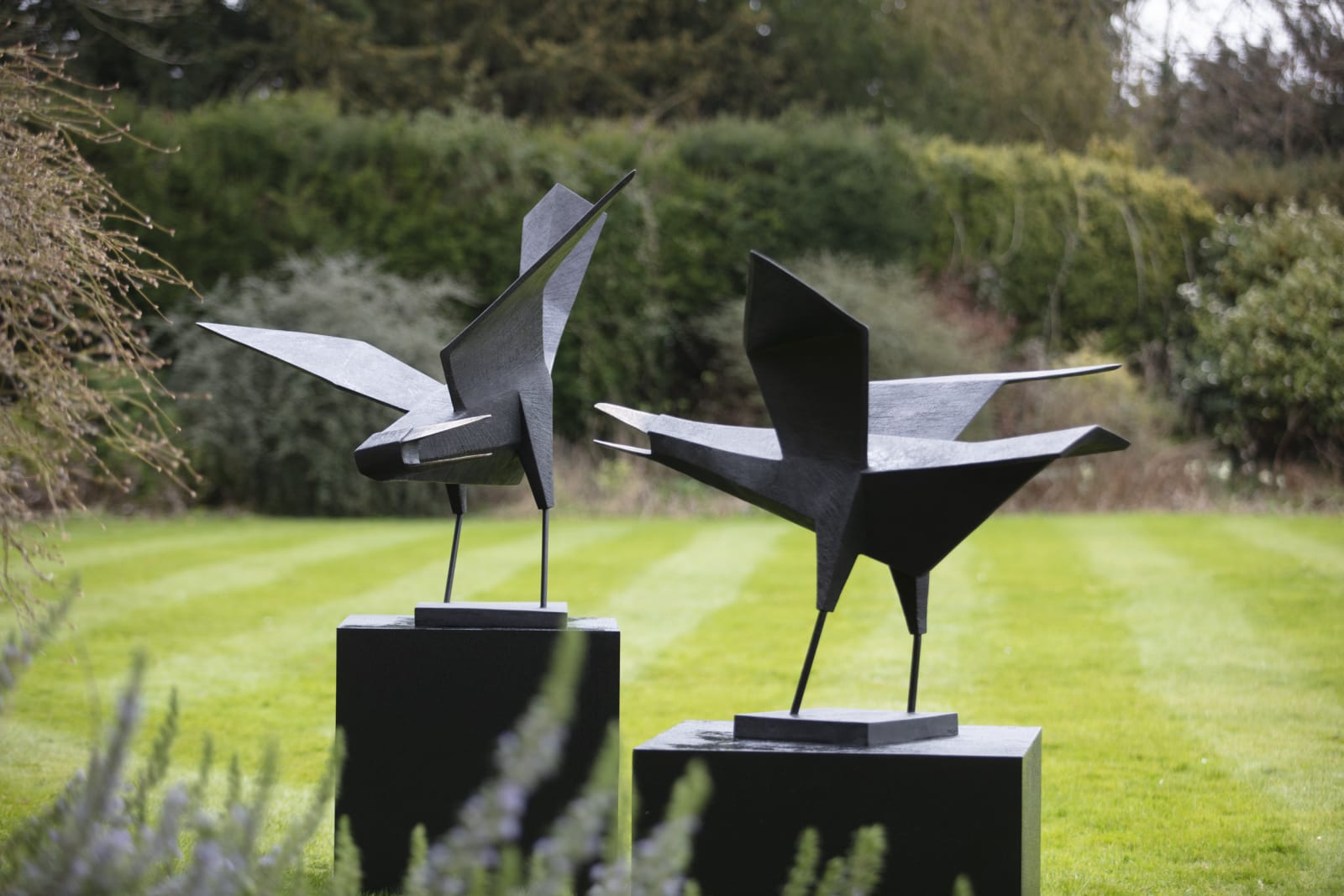 Terence Coventry, Bird II, 2010