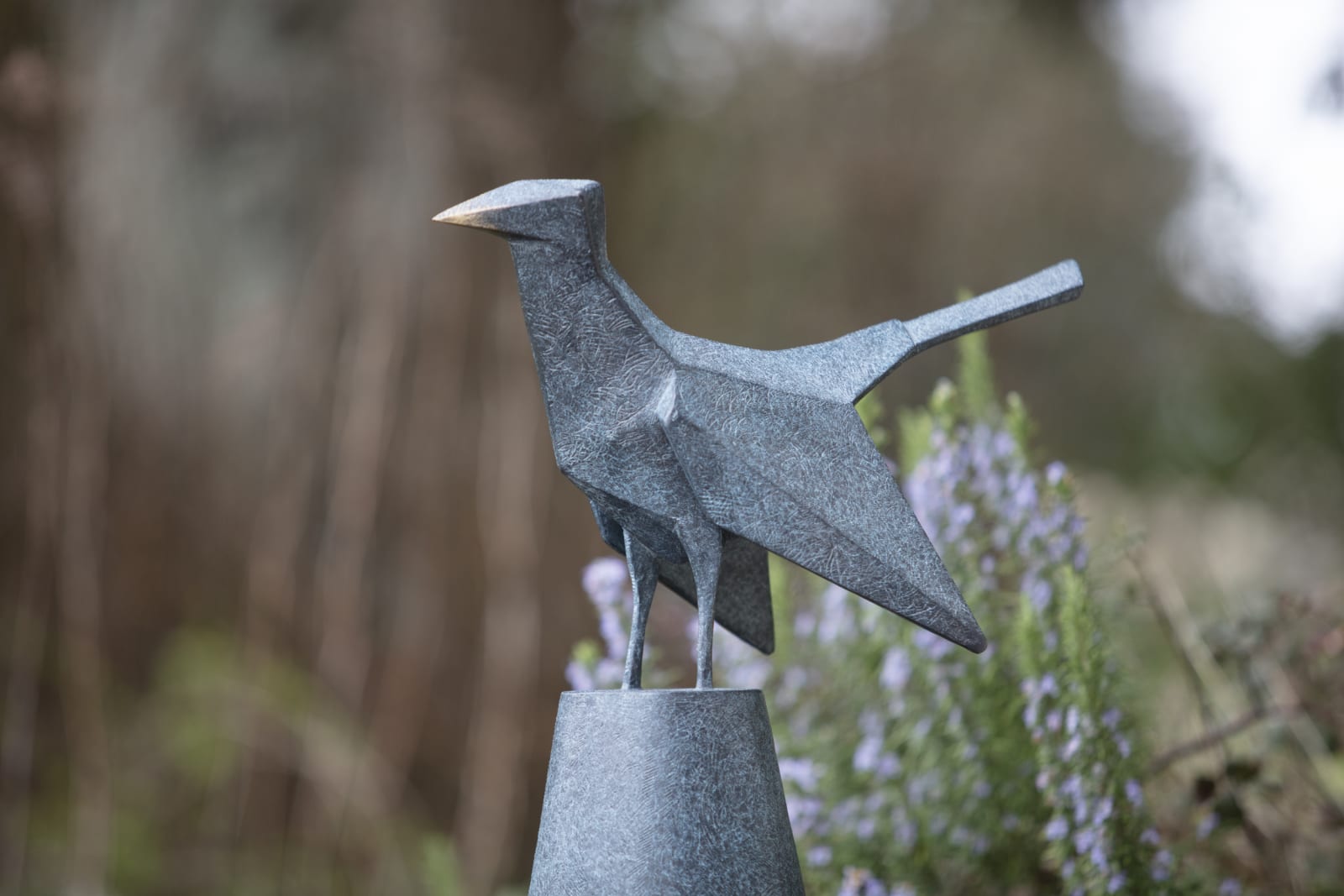 Terence Coventry, Cuckoo, 2013